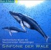 Buchcover Sinfonie der Wale