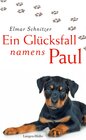 Buchcover Ein Glücksfall namens Paul