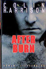 Buchcover Afterburn