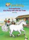 Buchcover Schneeflocke - Ein Pony hält alle auf Trab