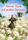 Buchcover Kleiner Hund auf großen Sprüngen