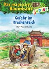 Buchcover Das magische Baumhaus junior (Band 14) - Gefahr im Drachenreich