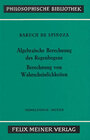Buchcover Algebraische Berechnung des Regenbogens - Berechnung von Wahrscheinlichkeiten
