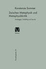 Buchcover Zwischen Metaphysik und Metaphysikkritik