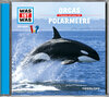 Buchcover WAS IST WAS Hörspiel: Orcas/ Polarmeere