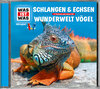Buchcover WAS IST WAS Hörspiel: Schlangen & Echsen/ Wunderwelt Vögel