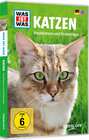 Buchcover WAS IST WAS DVD Katzen. Raubkatzen und Stubentiger