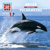 Buchcover WAS IST WAS Hörspiel. Orcas / Polarmeere
