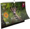 Buchcover Rehwild Bildkalender 2023