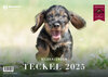 Buchcover Teckel 2025