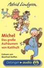 Buchcover Michel. Das große Aufräumen von Katthult