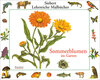 Buchcover Sommerblumen im Garten