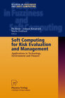 Buchcover Soft Computing for Risk Evaluation and Management