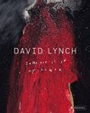 Buchcover David Lynch. Someone is in my House