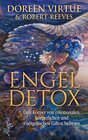 Buchcover Engel Detox