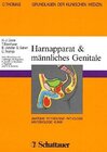 Buchcover Grundlagen der klinischen Medizin. Anatomie, Physiologie, Pathologie,... / Harnapparat - Männliches Genitale