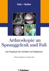 Buchcover Arthroskopie an Sprunggelenk und Fuß