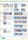 Buchcover Störfaktoren der gesunden Bewegungsentwicklung im ersten Lebensjahr