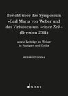 Buchcover Weber-Studien 9