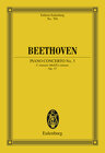 Buchcover Piano Concerto No. 3 C minor