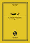 Buchcover Symphonic Variations