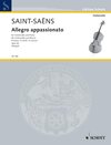 Buchcover Allegro appassionato