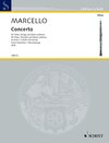 Buchcover Concerto d-Moll
