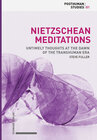 Buchcover Nietzschean Meditations