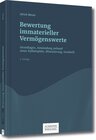 Buchcover Bewertung immaterieller Vermögenswerte