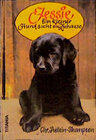 Buchcover Jessie - Ein kleiner Hund sucht ein Zuhause