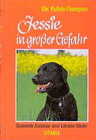 Buchcover Jessie in grosser Gefahr