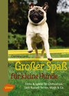 Buchcover Großer Spaß für kleine Hunde