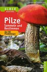 Buchcover Pilze