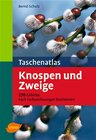 Buchcover Taschenatlas Knospen und Zweige