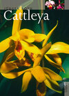 Buchcover Cattleya