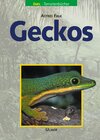 Buchcover Geckos