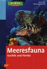 Buchcover Ulmer Naturführer Meeresfauna Karibik und Florida