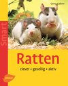 Buchcover Ratten
