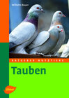 Buchcover Tauben