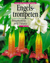 Buchcover Engelstrompeten. Brugmansia und Datura