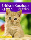 Buchcover Britisch Kurzhaar Katzen