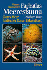 Buchcover Meeresfauna - Niedere Tiere
