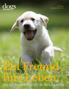 Buchcover DOGS. Ein Freund fürs Leben