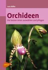 Buchcover Orchideen