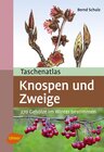 Buchcover Taschenatlas Knospen und Zweige