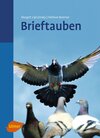 Buchcover Brieftauben