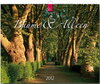 Buchcover Bäume & Alleen 2012