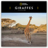 Buchcover Giraffes - Giraffe - Giraffen 2021