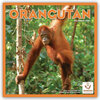 Buchcover Orangutan – Orang-Utans 2021