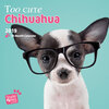 Buchcover Too Cute Chihuahua - Chihuahuas 2019 - 16-Monatskalender